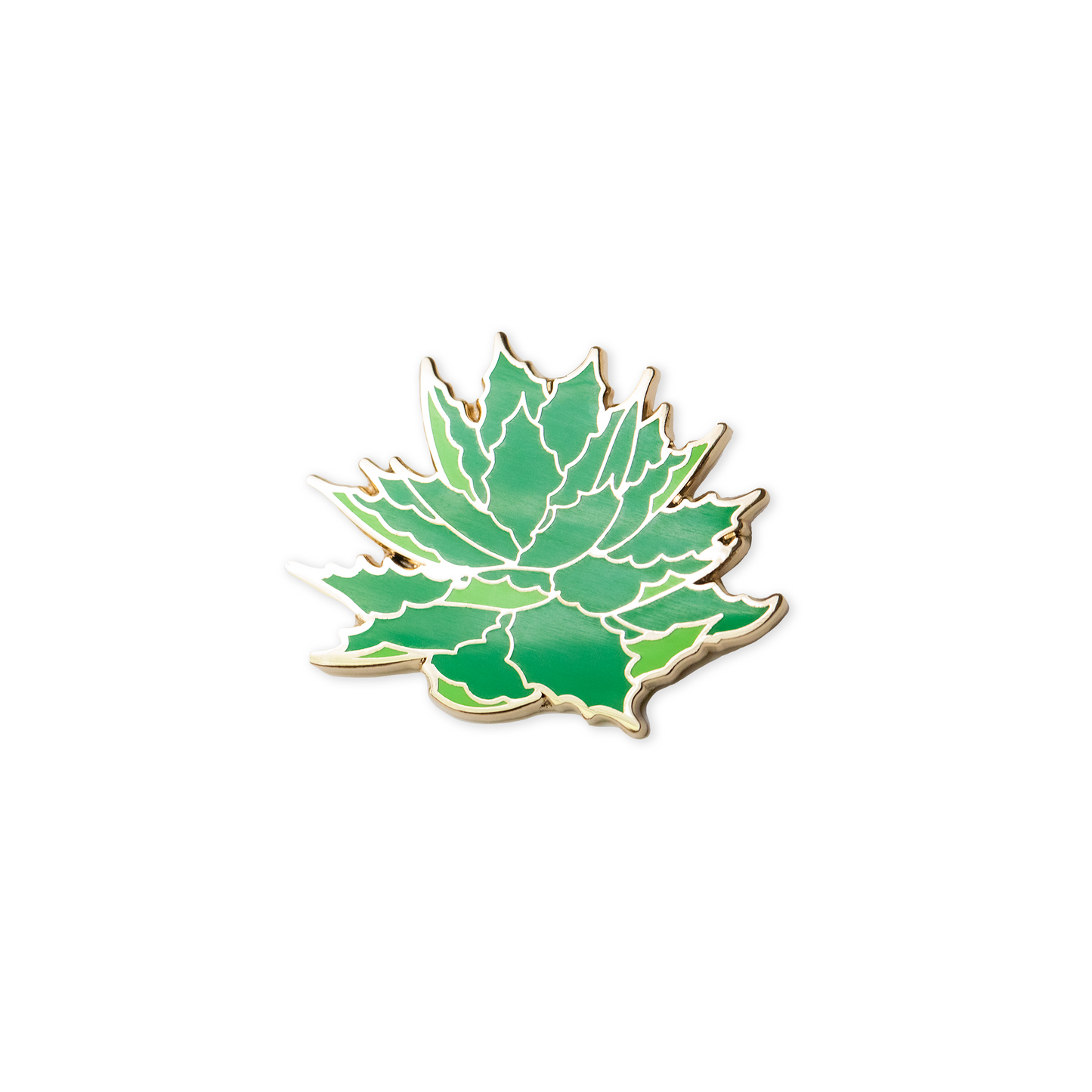 Tobala 'Agave' Pin