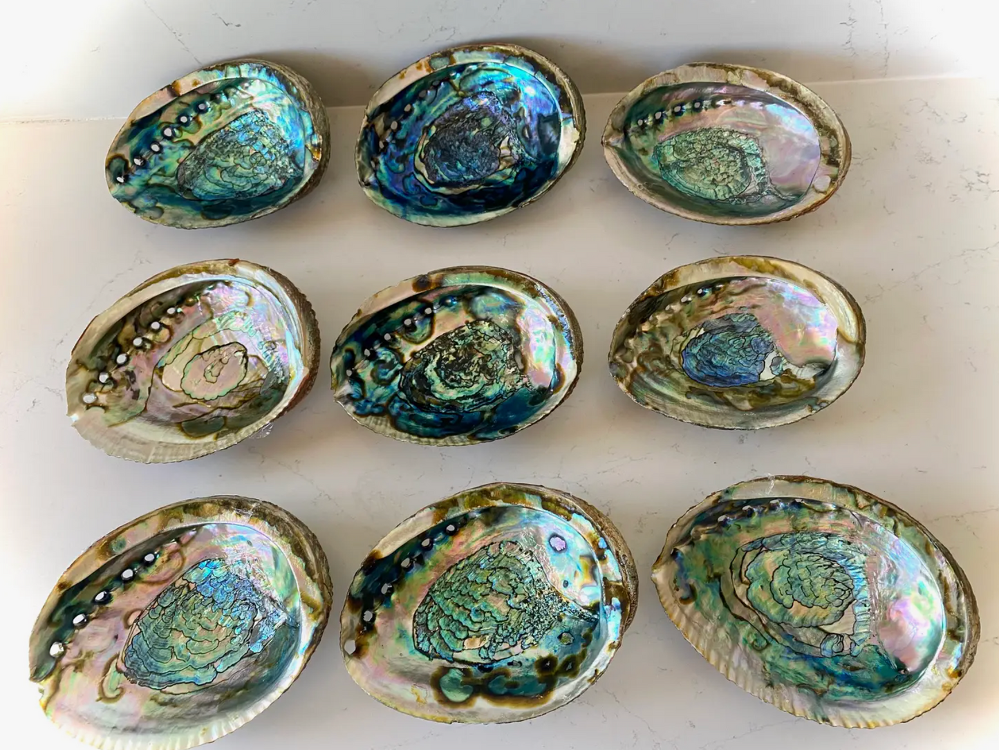 Abalone Shell Smudge Bowls