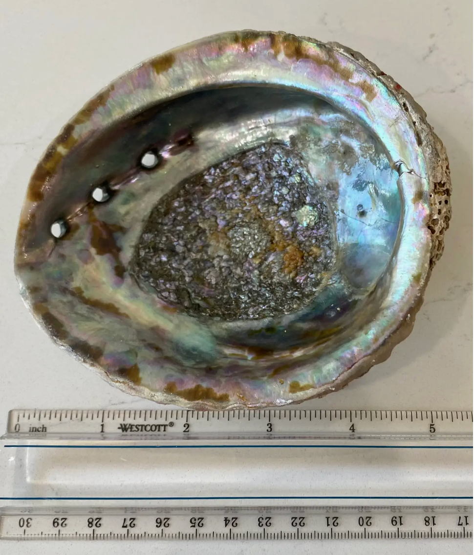 Abalone Shell Smudge Bowls