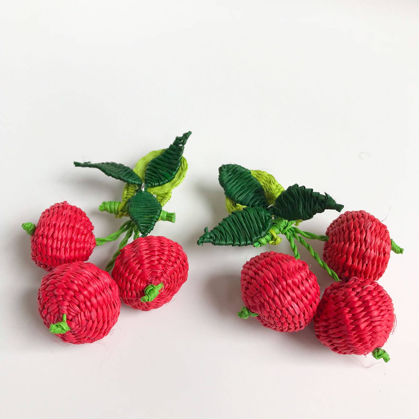 Hand- Woven Fruta & Leaf Large Earrings