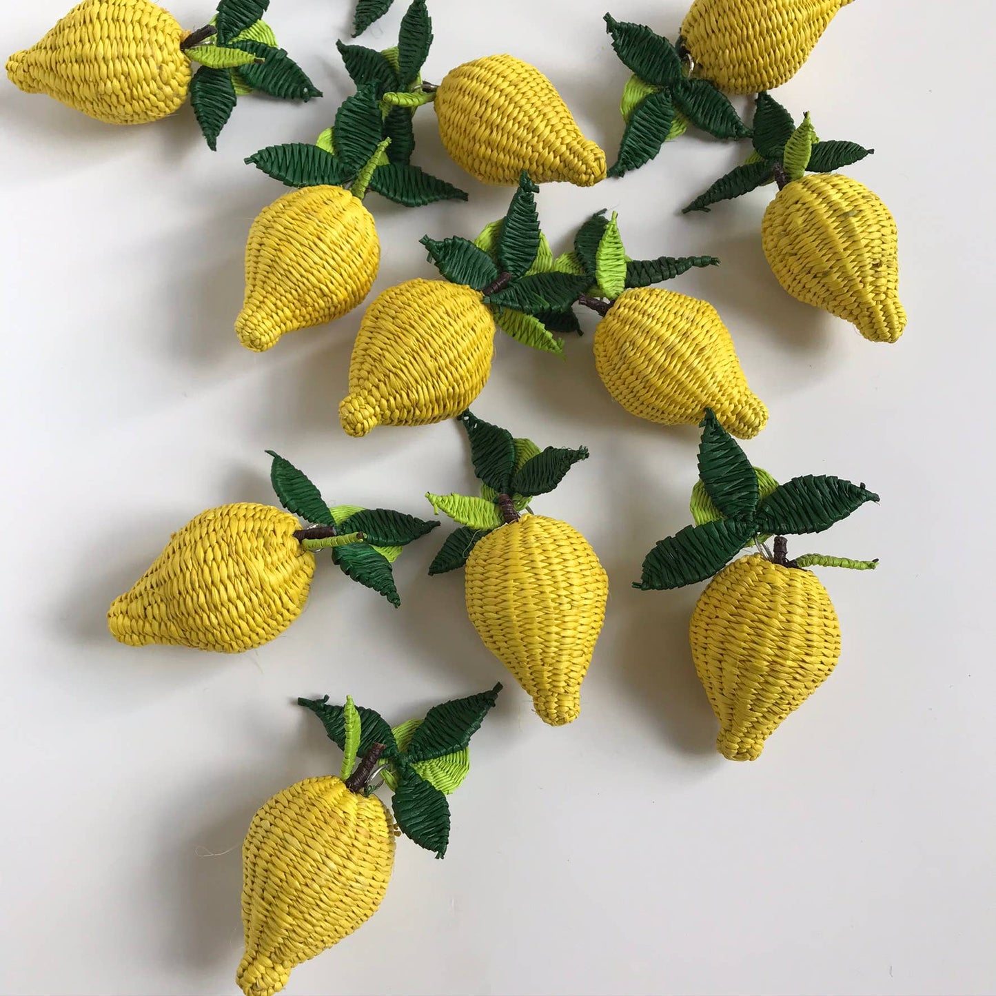Hand- Woven Fruta & Leaf Large Earrings